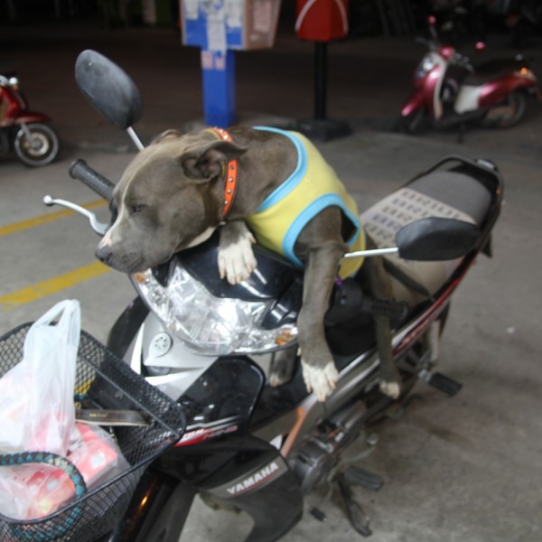 2. Thaiföldön mindenki motorral jár